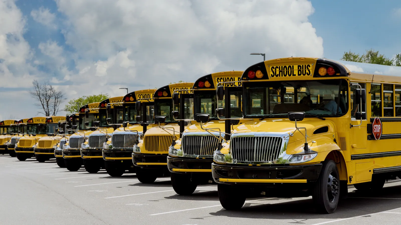 Row of yellow school buses parked in a depot lot